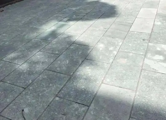 Lát đá vỉa hè xanh rêu