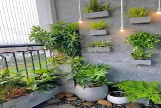 Hình ảnh này chưa có thuộc tính alt; tên tệp của nó là 15%20(2).jpg