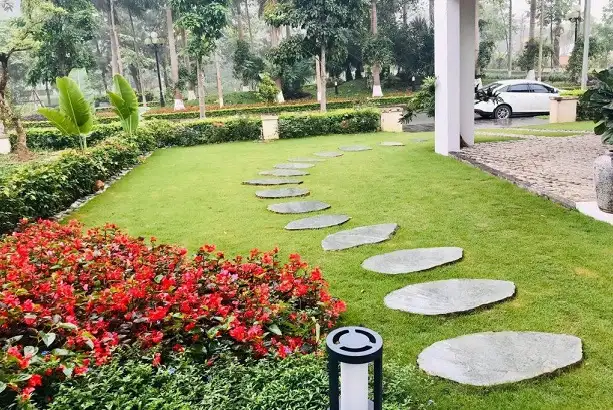 5+ Mẫu đá bazan lát sân vườn | Báo giá đá bazan lát sân vườn hiện nay
