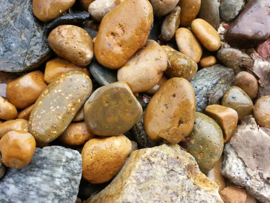 đá sỏi bóng vàng
