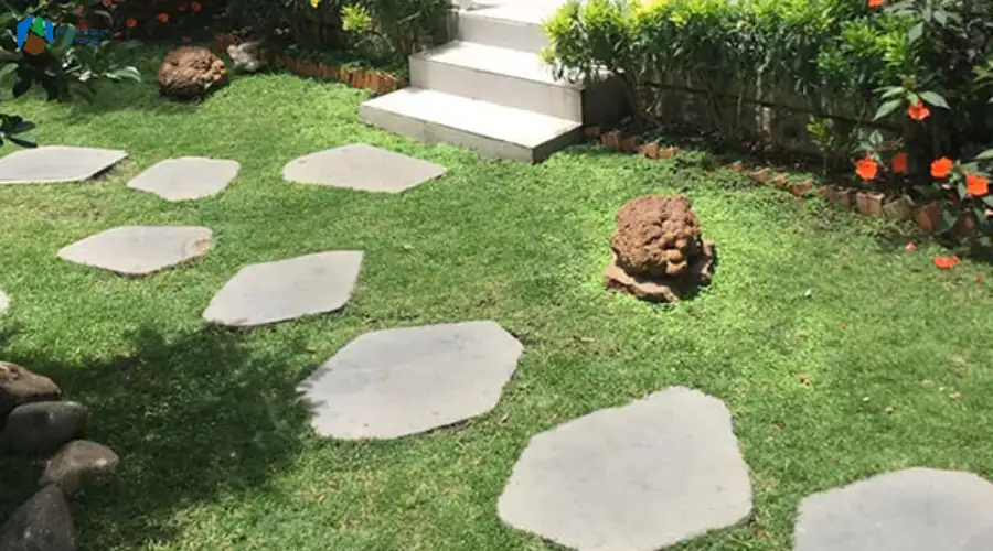 Thi công đá bước dặm lát sân vườn