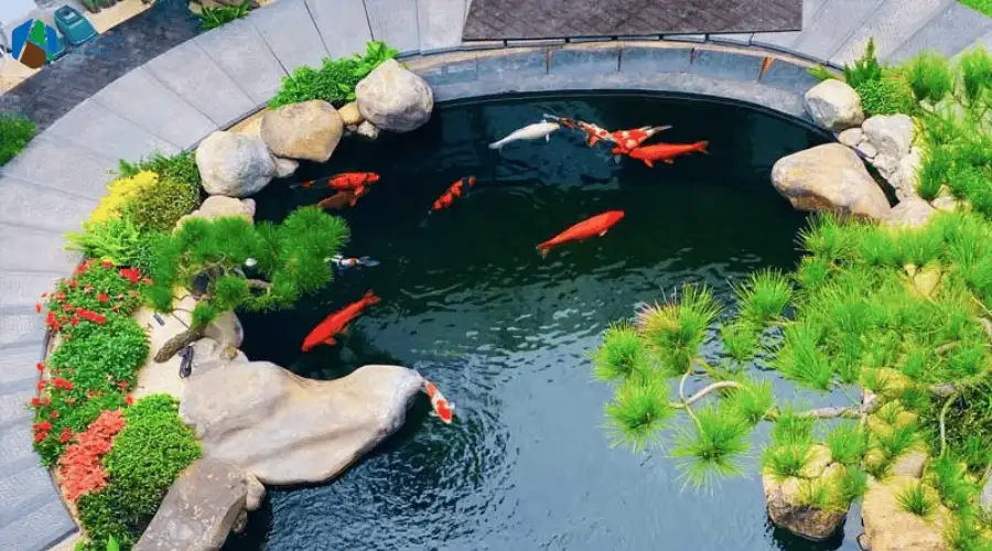 Đá lát sân vườn cảnh quan, bước dạo hồ cá Koi