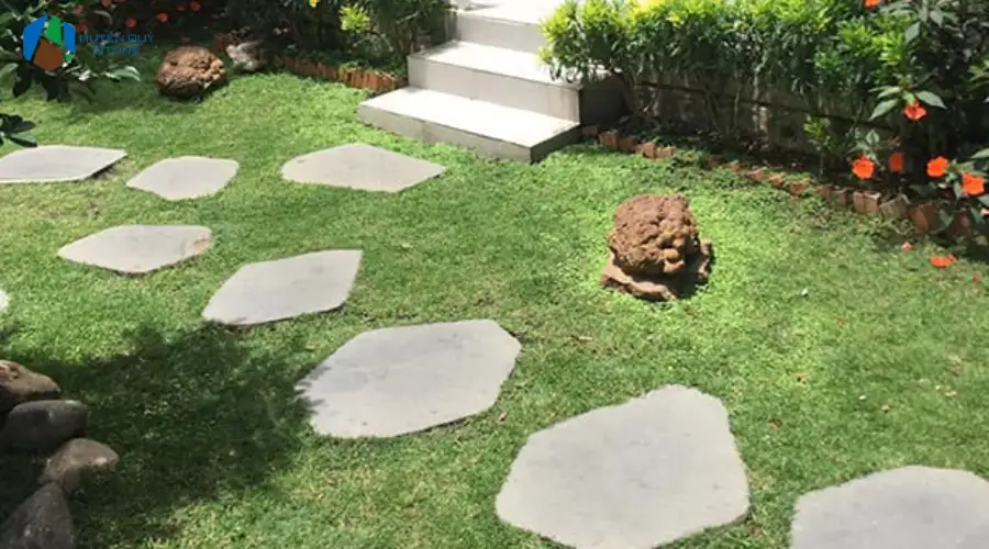 Đá thớt lát sân vườn